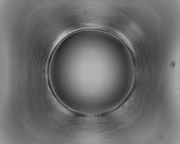 X0000091361291200708101412