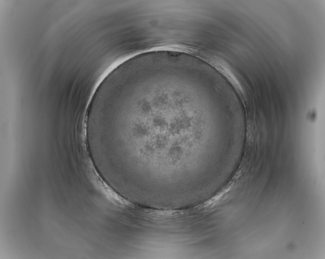 X0000091361292200708101412