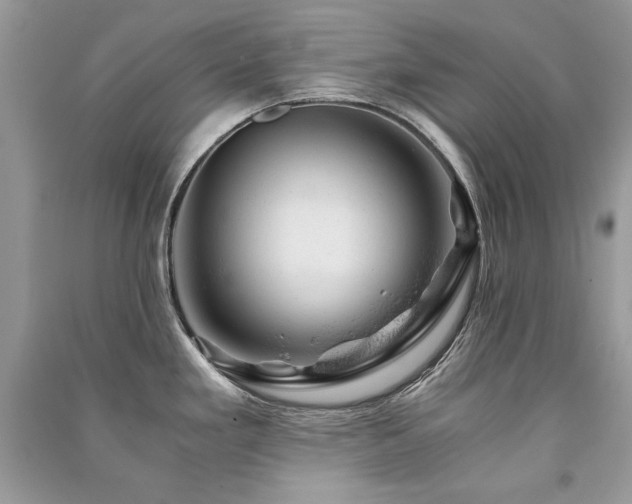 X0000091361293200708101412