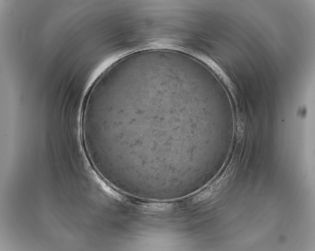 X0000091361294200708101412