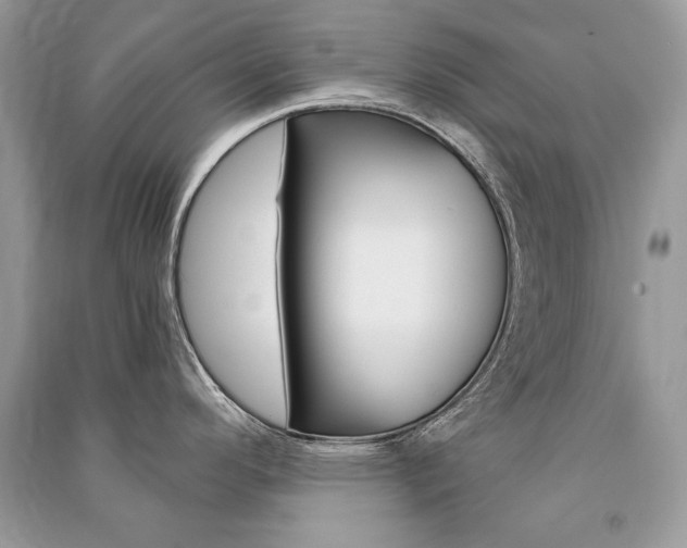 X0000091361296200708101412
