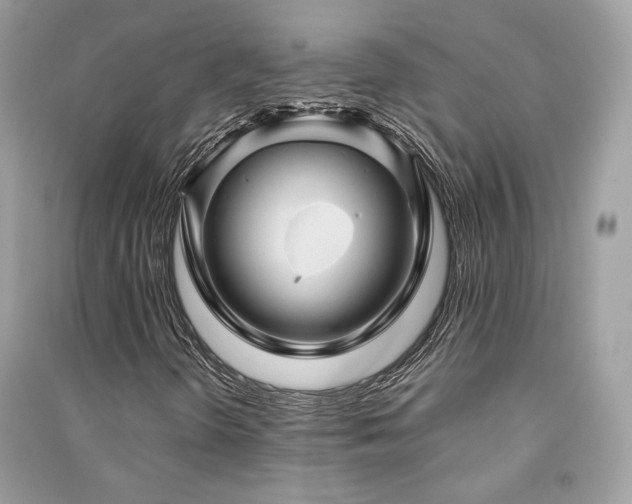 X0000091361298200708101411