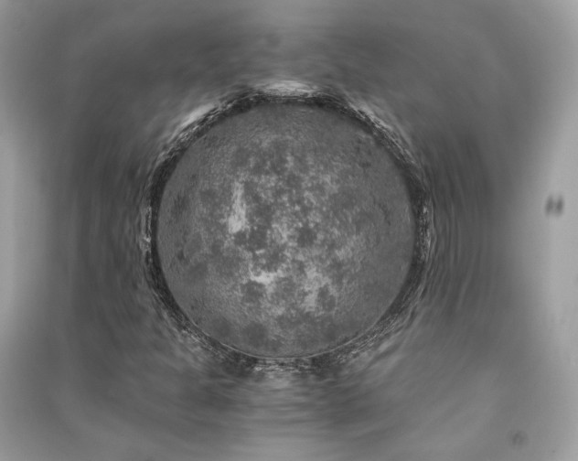 X0000091361301200708101411