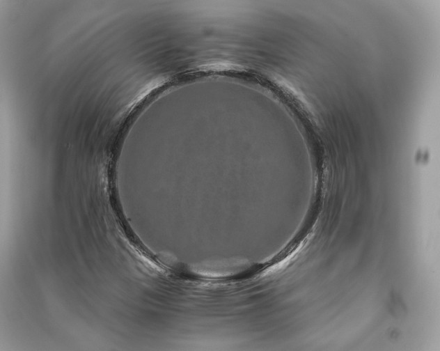 X0000091361305200708101411