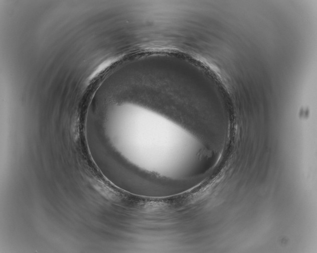X0000091361306200708101411