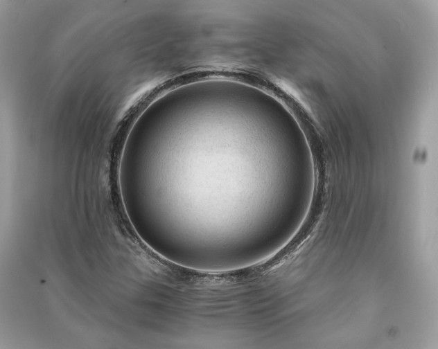 X0000091361307200708101411