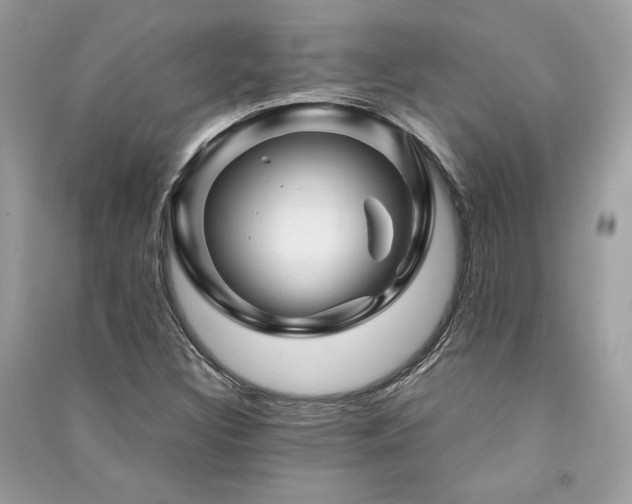 X0000091361308200708101411