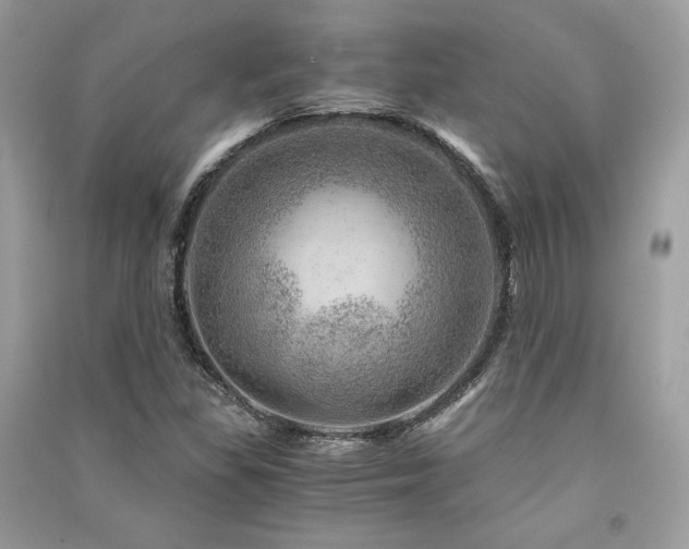 X0000091361309200708101411