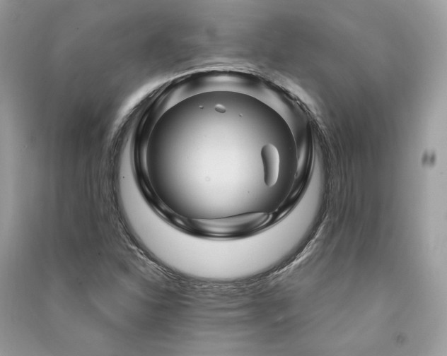 X0000091361310200708101411