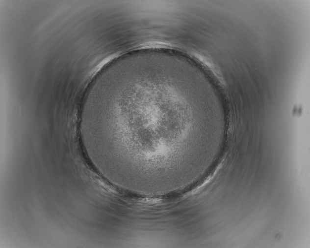 X0000091361313200708101411