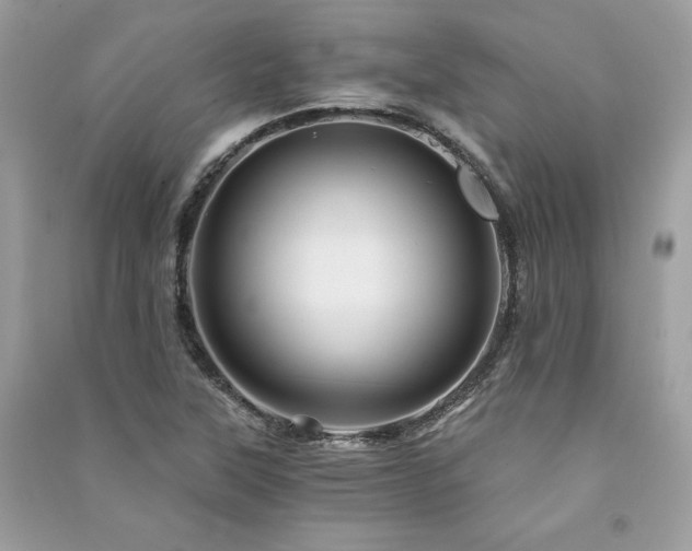 X0000091361315200708101411