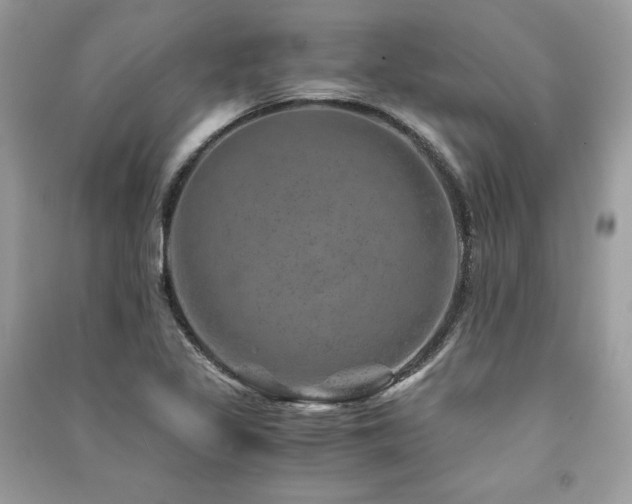 X0000091361317200708101412