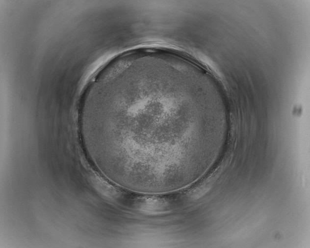 X0000091361318200708101412