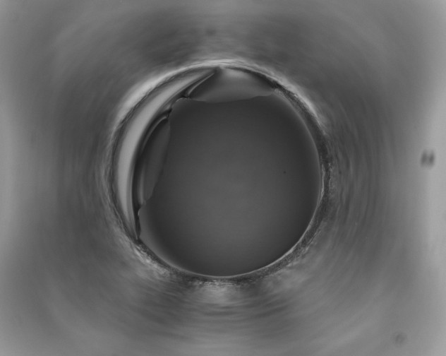X0000091361319200708101412