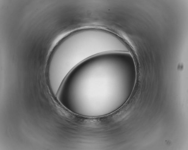 X0000091361320200708101412