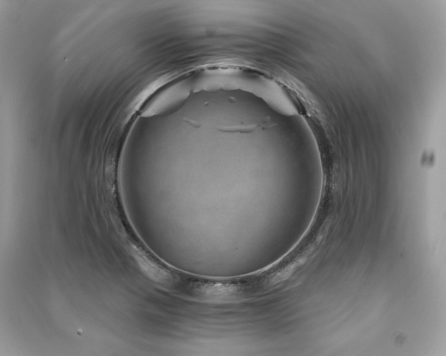 X0000091361321200708101412