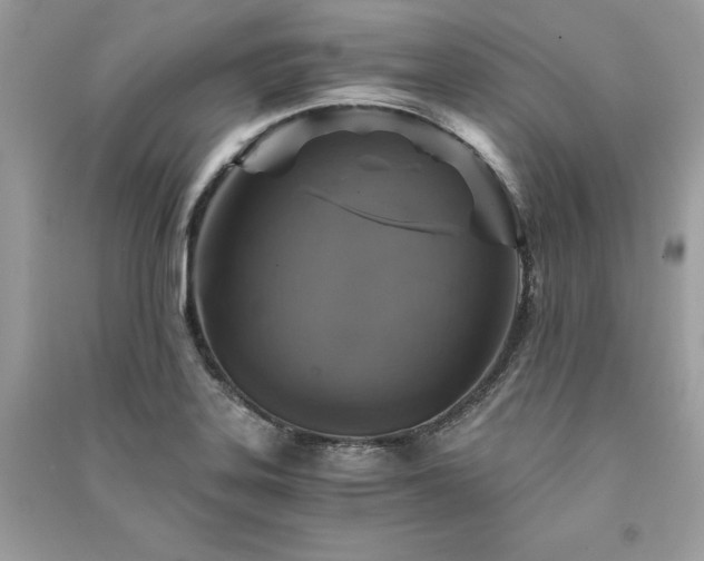 X0000091361323200708101412