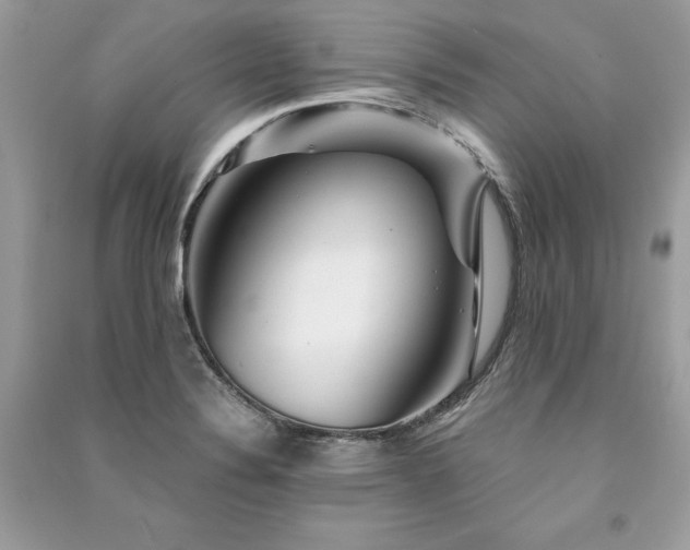 X0000091361324200708101412