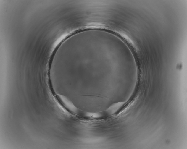 X0000091361325200708101412