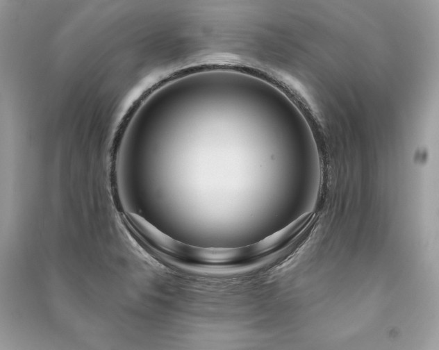X0000091361326200708101412