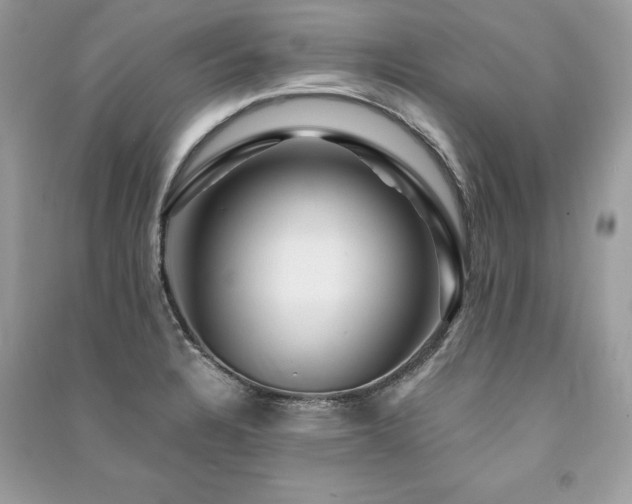 X0000091361328200708101412