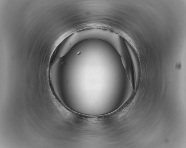 X0000091361330200708101412