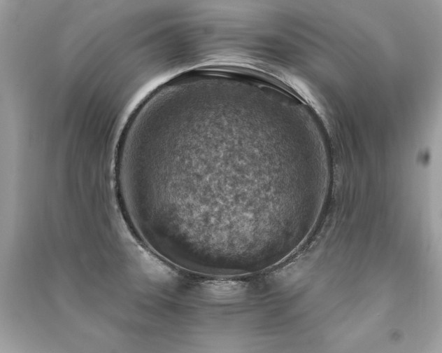 X0000091361331200708101412