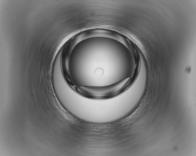 X0000091361332200708101412