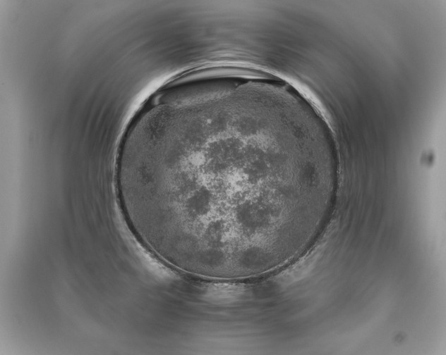 X0000091361333200708101412