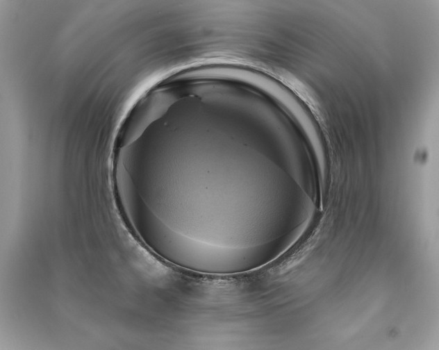 X0000091361334200708101412