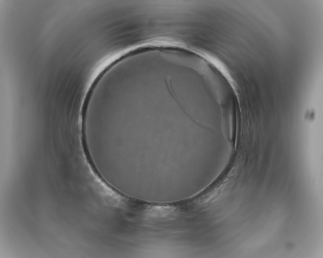 X0000091361335200708101412