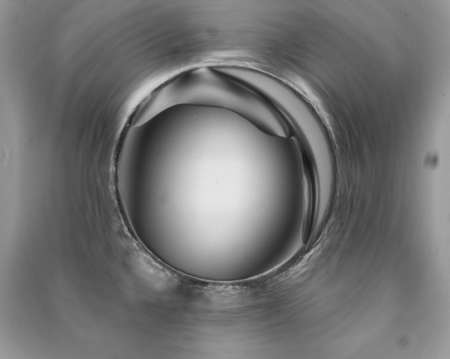 X0000091361336200708101412