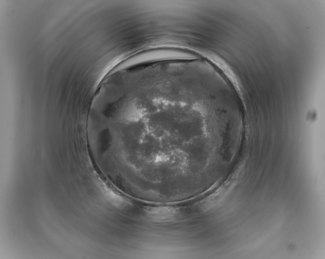 X0000091361337200708101412