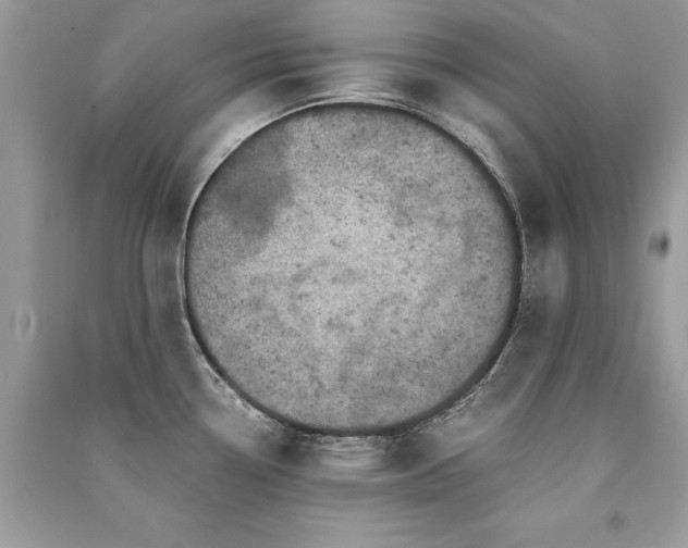 X0000091361338200708101412