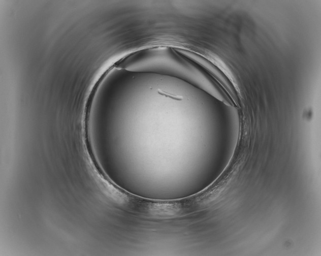 X0000091361339200708101412