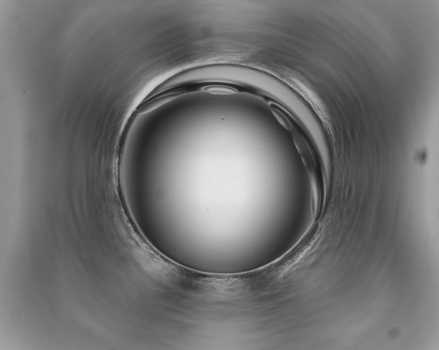 X0000091361340200708101412