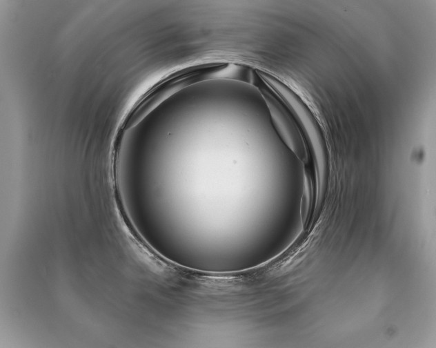 X0000091361342200708101412