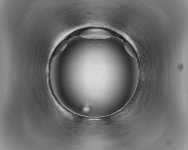 X0000091361343200708101412