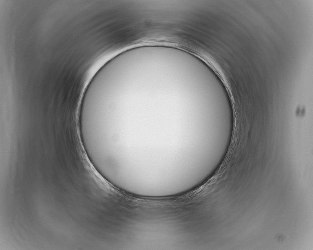 X0000091361344200708101412