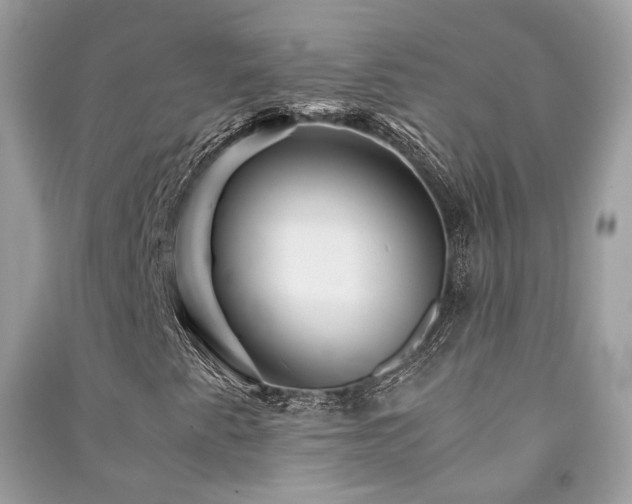 X0000091361345200708101411