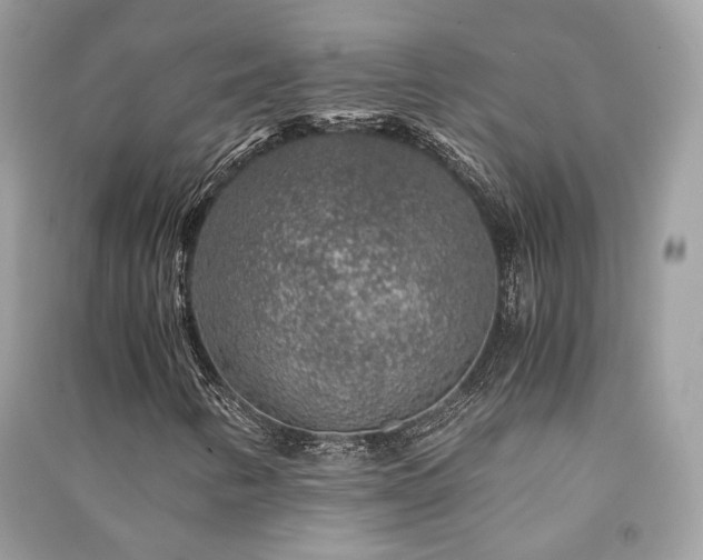 X0000091361346200708101411