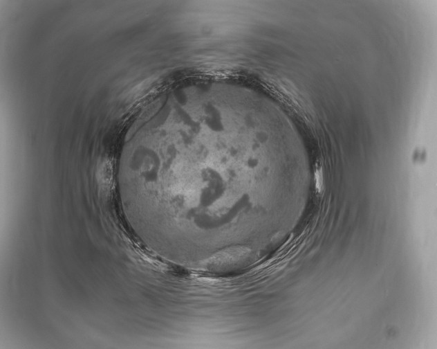 X0000091361347200708101411