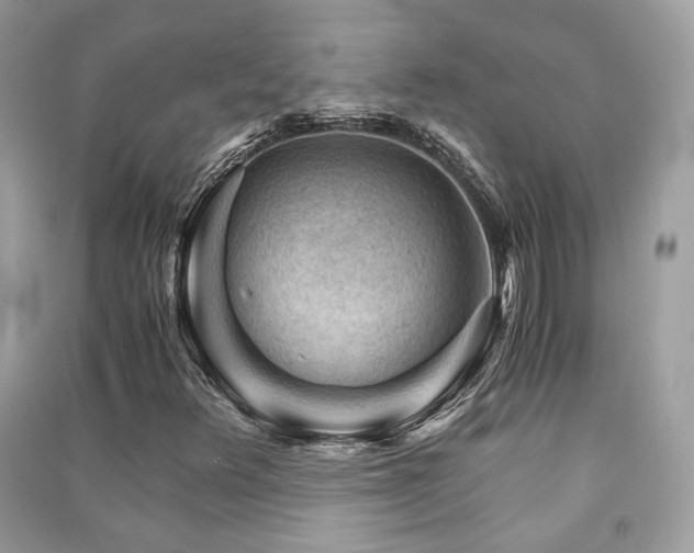 X0000091361348200708101411