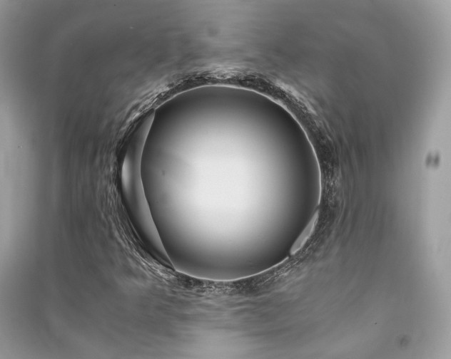 X0000091361349200708101411