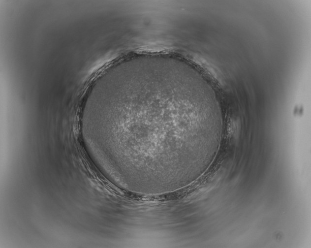 X0000091361350200708101411
