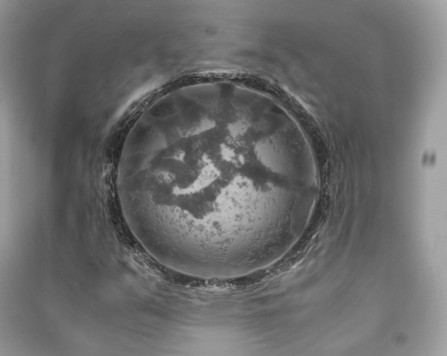 X0000091361351200708101411