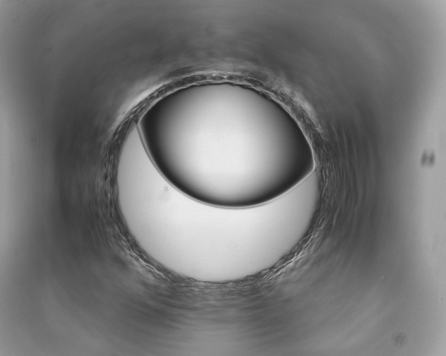X0000091361352200708101411