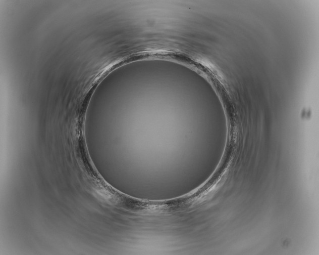 X0000091361353200708101411
