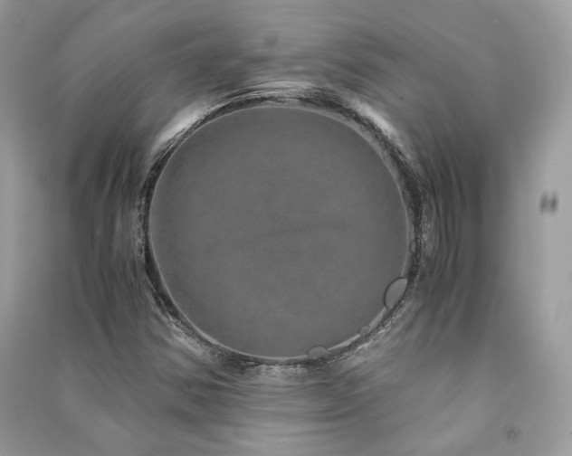 X0000091361354200708101411