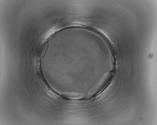 X0000091361355200708101411